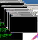 �ٴ�����3306 win�Զ������Ȩ��